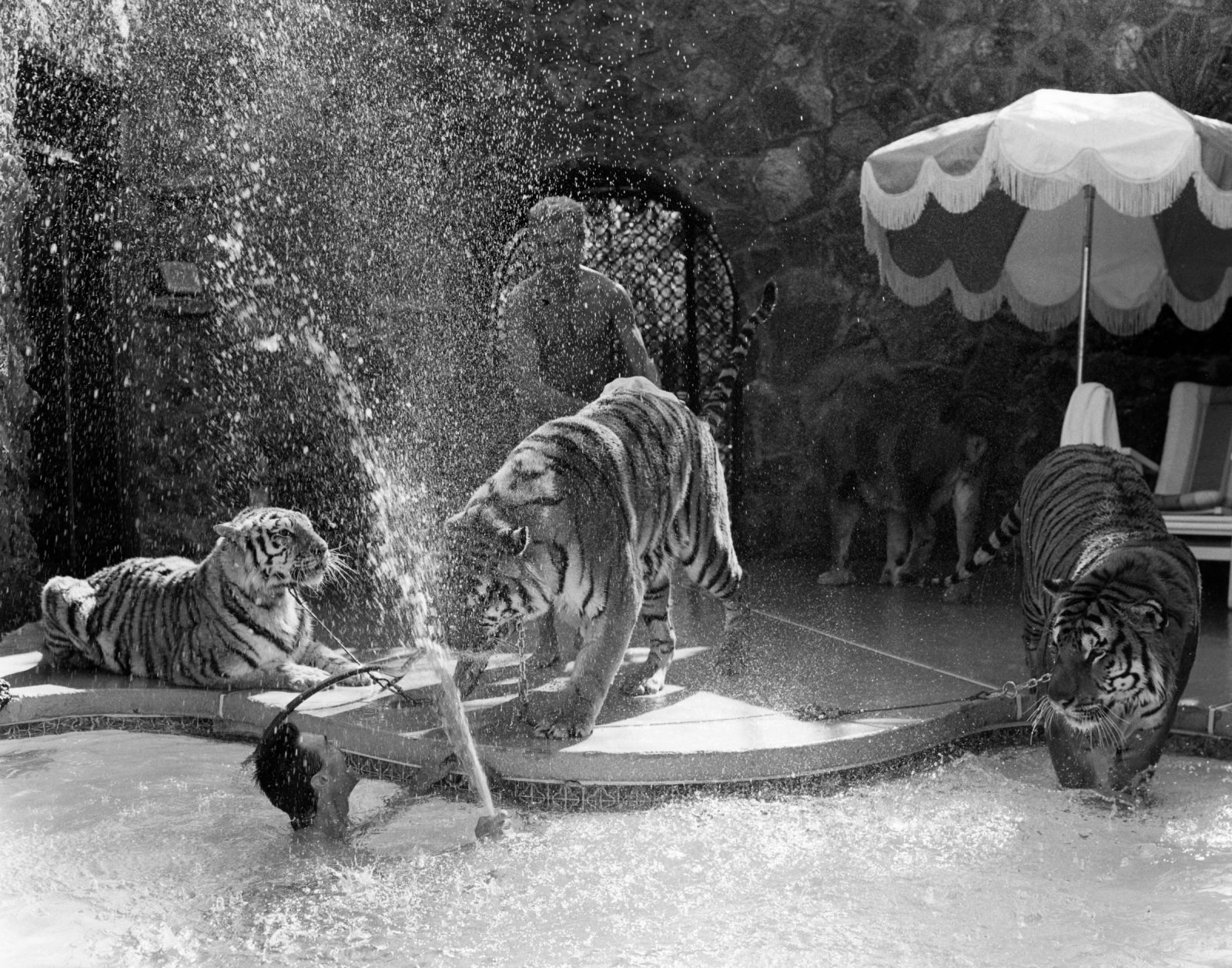 Bruce Weber