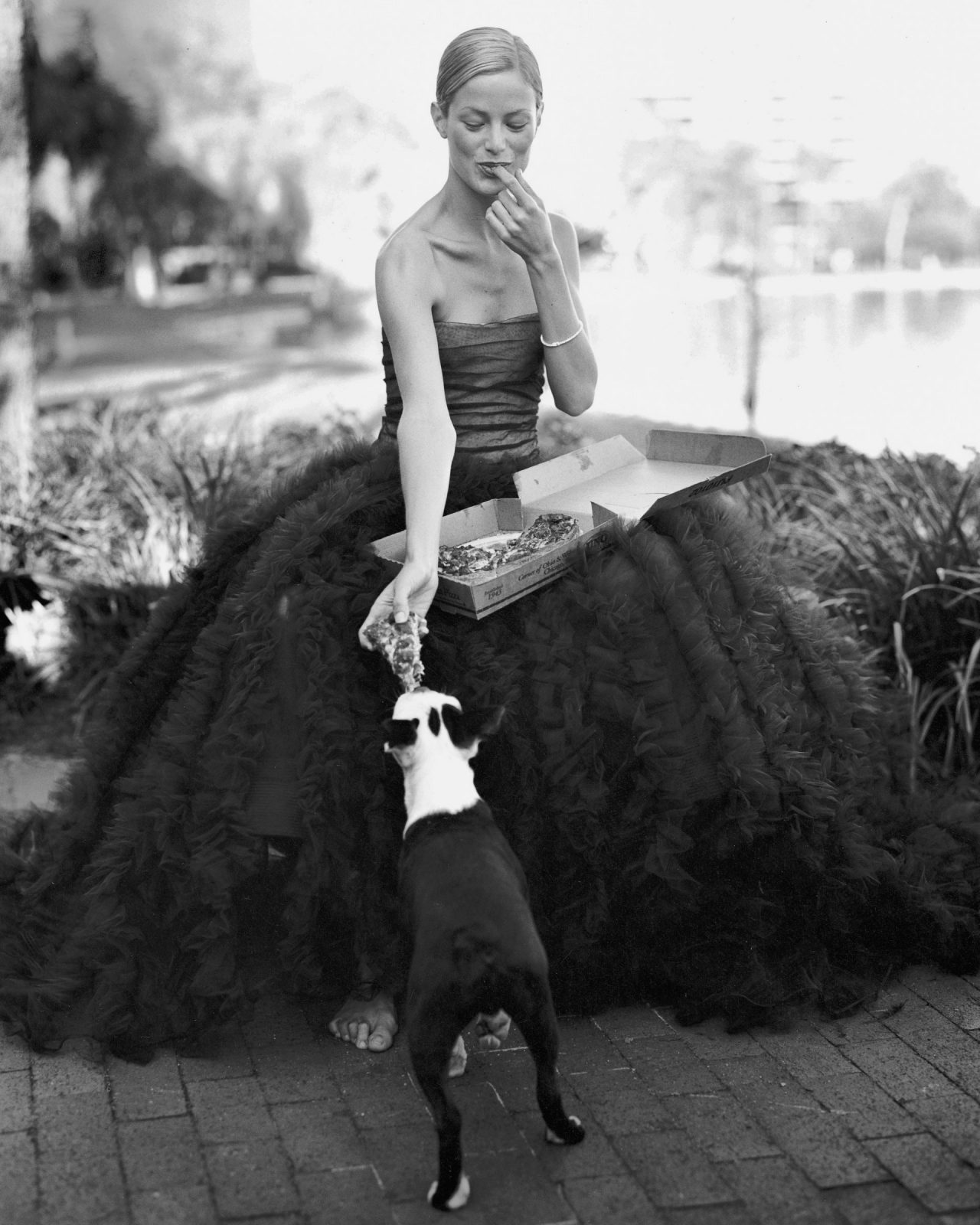 Bruce Weber