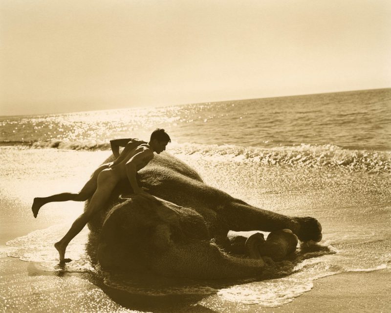 Bruce Weber