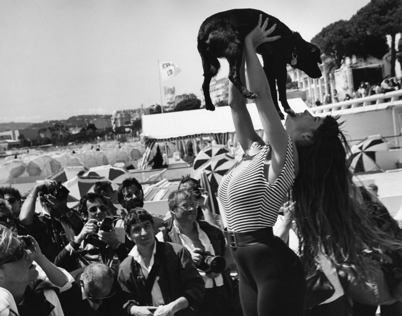 Bruce Weber