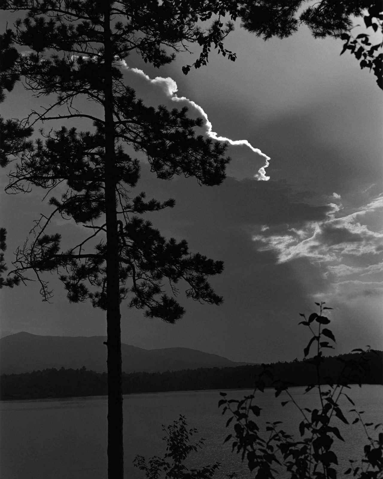 Bruce Weber