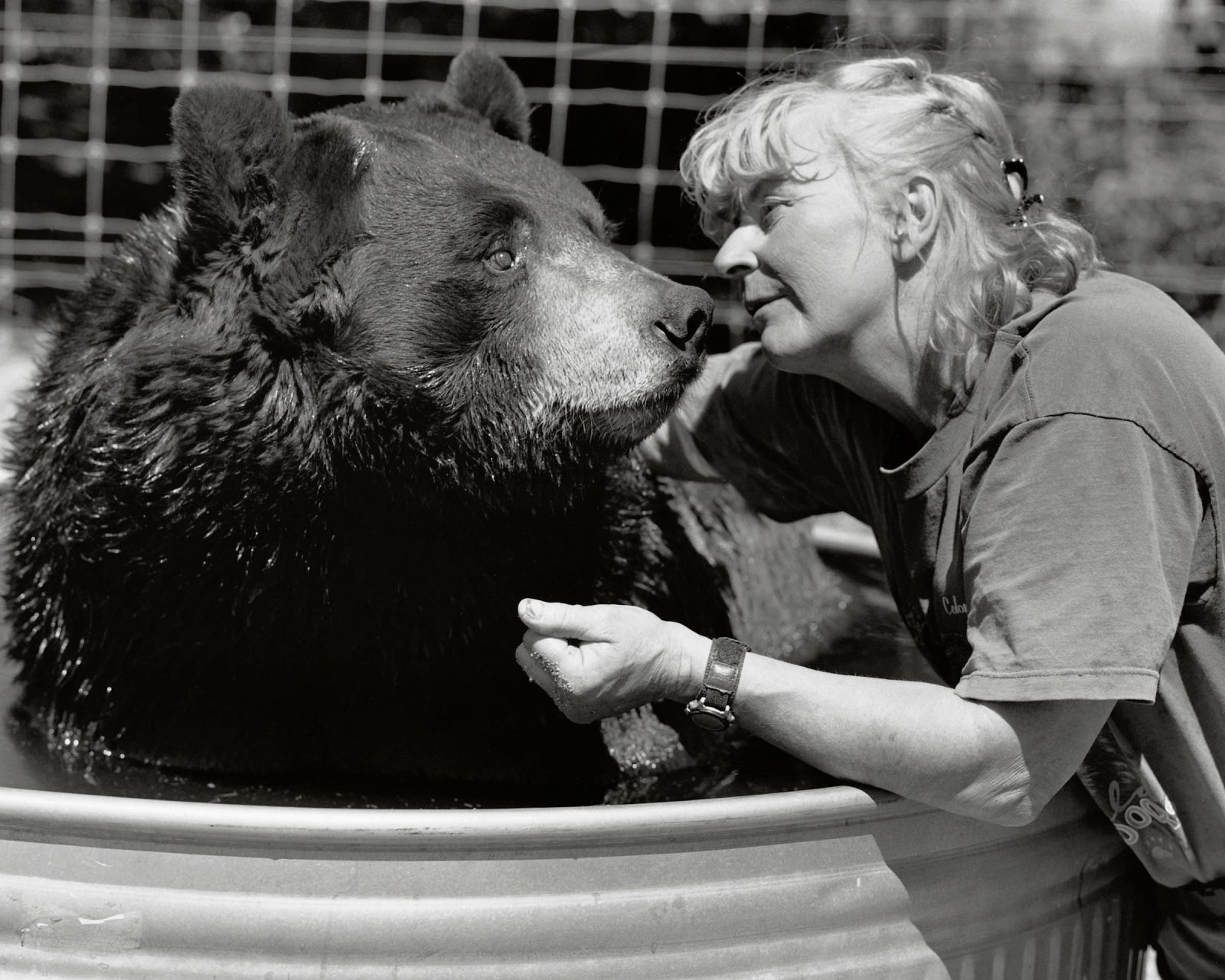 Bruce Weber
