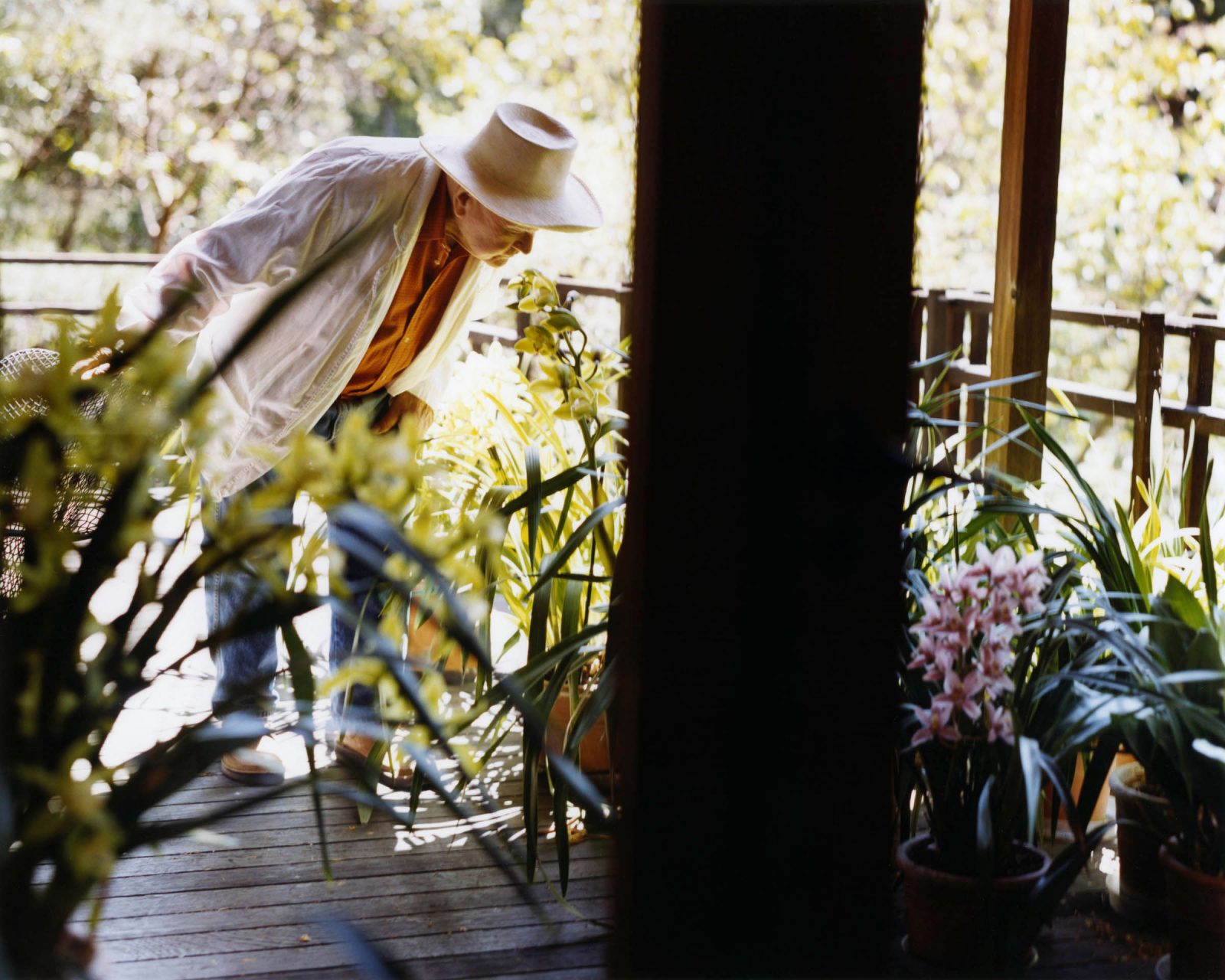 Bruce Weber