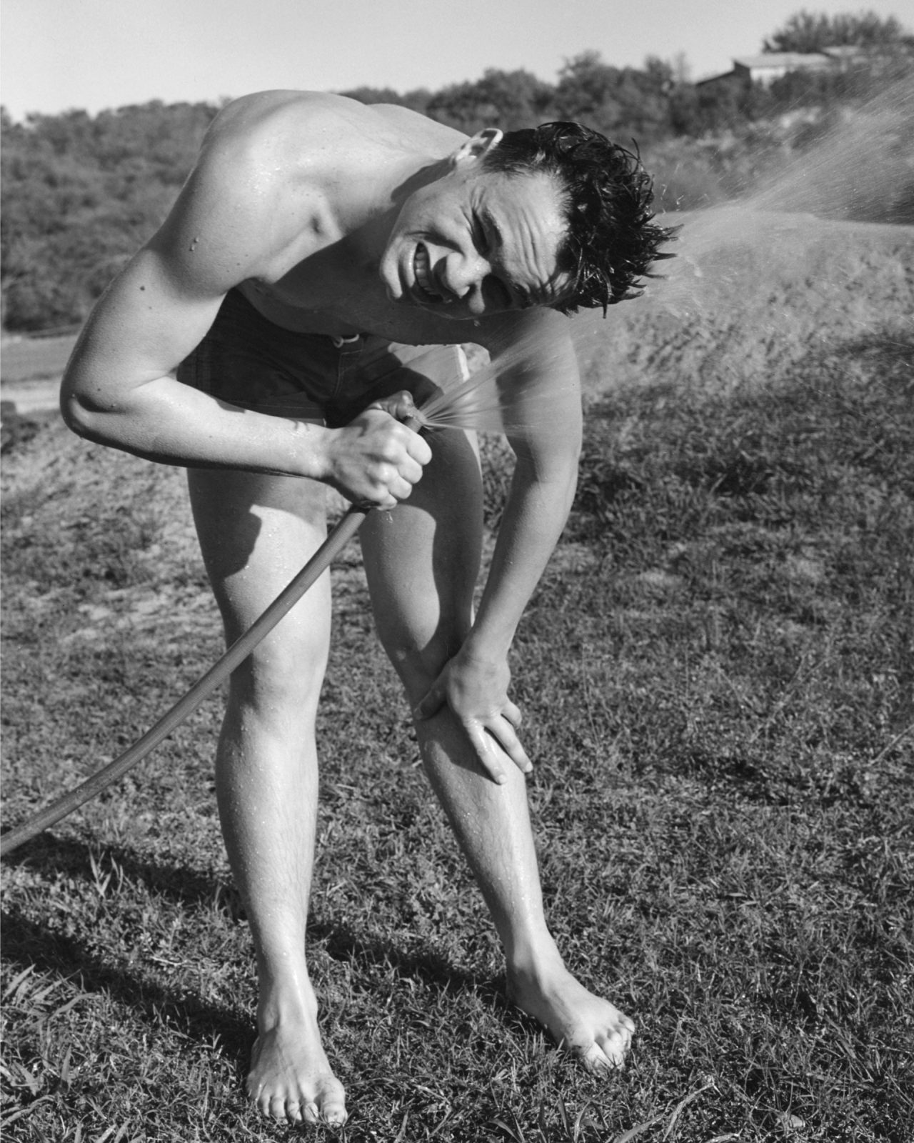 Bruce Weber