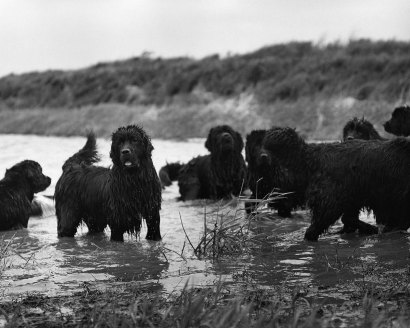 Bruce Weber