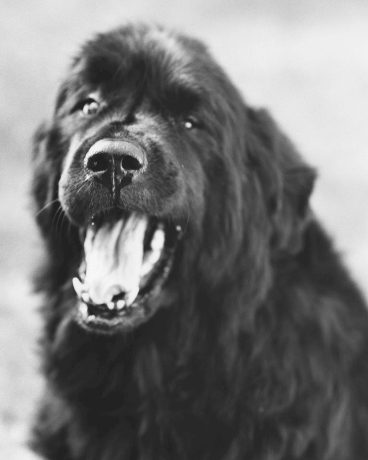 Bruce Weber