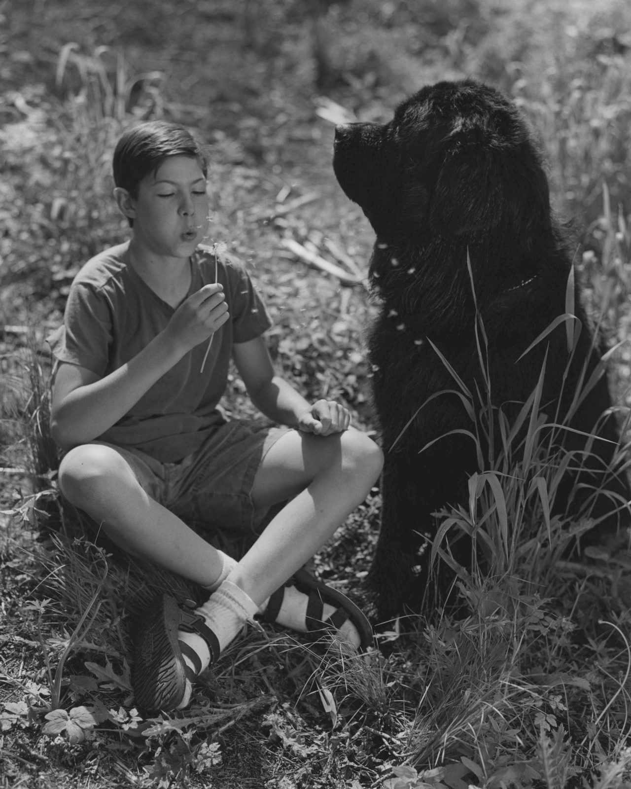 Bruce Weber