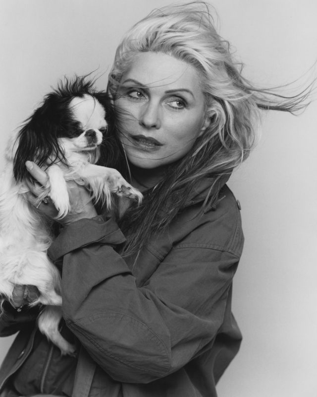 Bruce Weber