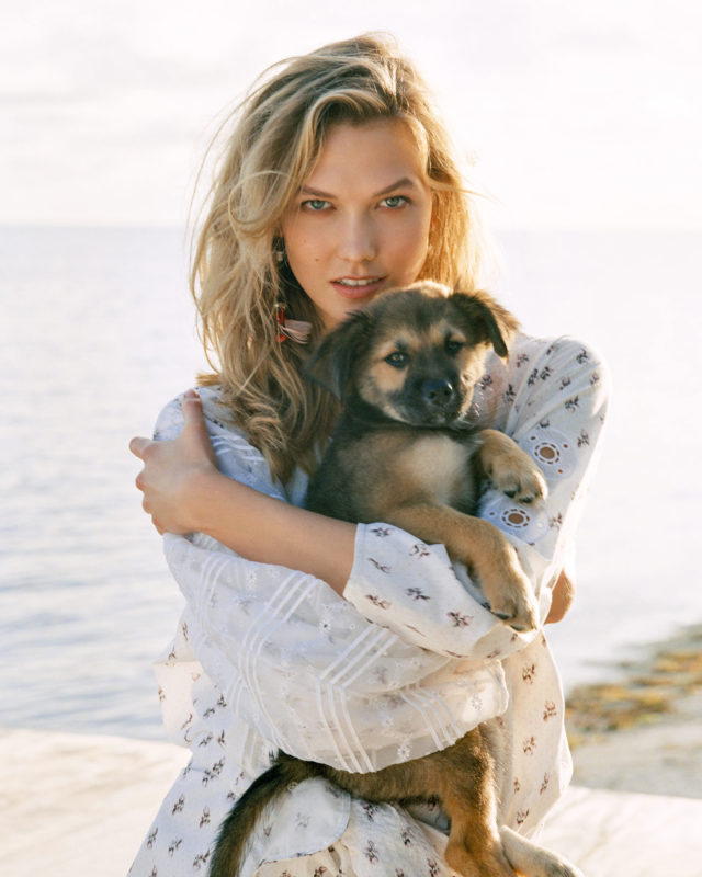 Bruce Weber
